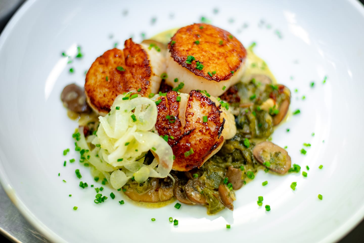 Three golden seared scallops plated over mushrooms and shaved fennel with chives in a white bowl